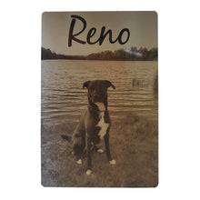 Load image into Gallery viewer, Modern Metallic 4&quot; x 6&quot; Pet Photo Prints - Brushed Silver